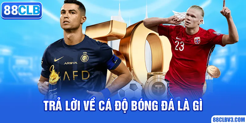 Cá Độ Bóng Đá Là Gì Và Kinh Nghiệm Khi Giải Trí Tại 88CLB Trả lời về cá độ bóng đá là gì